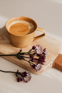 Coffee & Great Masterwort