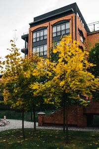 Kaboompics - Autumn threes and brick building