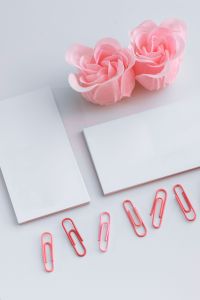 Little sheets of paper with pink paper clips