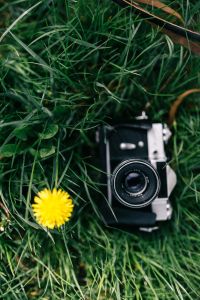 Vintage camera with yellow flower