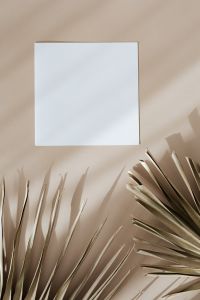 Kaboompics - blank card & palm