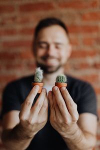 Kaboompics - Miniature cacti in clay pots