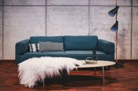 Kaboompics - Blue sofa with pillows in a designer living room interior