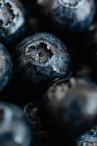 Blueberries Backgrounds