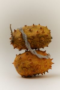 Kaboompics - Stacked Kiwano Fruits Accentuated by a Rhinestone Bracelet