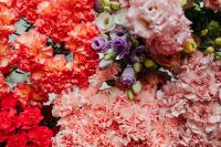 Kaboompics - Various multicolored fresh flowers (carnations, eustoma)