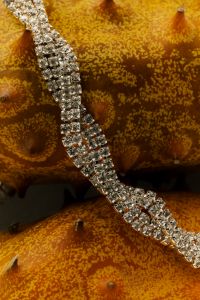 Kaboompics - Sparkling Silver Bracelet Draped Over Spiky Kiwano Fruit