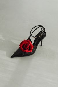 Kaboompics - Black High Heel Shoe - Red Rose
