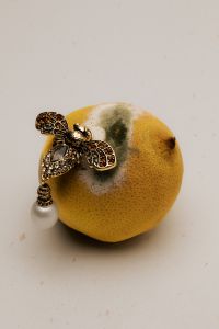 Kaboompics - Vintage Bee Jewelry Highlight on Citrus Fruit