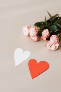 Kaboompics - Pink roses & hearts