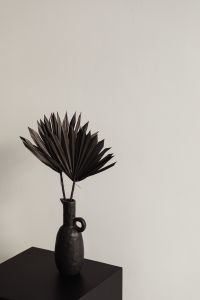 Black dried palm leaves - black ceramic vase - backgrounds