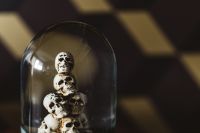 Kaboompics - Water Globe with Skulls