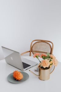 Kaboompics - MacBook laptop & orange Dianthus (carnation or clove pink) flowers on desk, kiwano fruit