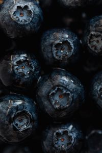 Kaboompics - Blueberries Backgrounds