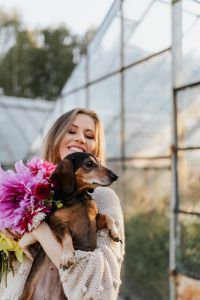 A woman with beautiful colorful dahlia flowers, holding in her hands a dachshund dog