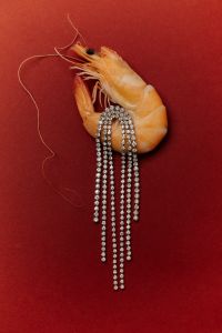 Kaboompics - Elegance Meets Flavor: Shrimp with Rhinestones