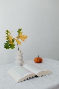 Opened book - pumpkin - oak leaves