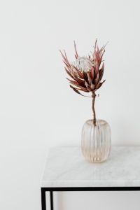Protea on The Marble Table