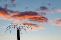 Kaboompics - A fake palm tree on a background of pink clouds