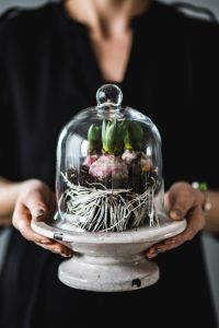 Woman holding seedlings inside a glass container