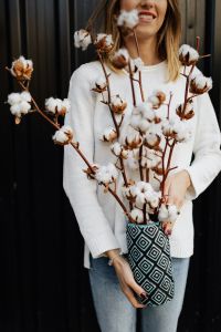 Kaboompics - Woman holding a cotton flower