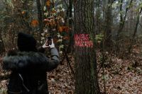 Kaboompics - The woman takes a picture of the sign on the tree