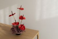 Kaboompics - Red Anthurium Ikebana Flower Arrangement