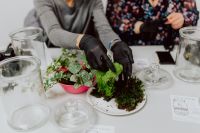 Kaboompics - Hands Arranging Fittonia and Moss for a Miniature Glass Jar Terrarium Workshop