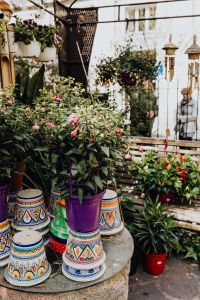 Kaboompics - Pink Potted Flowers and Colorful Planters at an Outdoor Florist