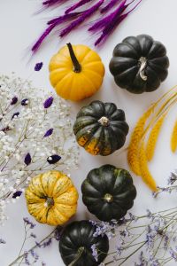 Kaboompics - Yellow Pumpkin With Dried Flowers on White
