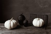 Kaboompics - White and Black Pumpkins on Dark Wooden Background
