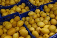 Kaboompics - Colorful Market Moments With Vegetables and Fruit