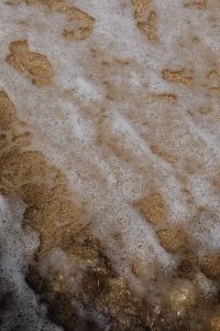 Kaboompics - Close Up Of White Sea Foam On Wet Sand