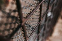 Kaboompics - Chicken Wire Fence Texture in a Rustic Farmyard