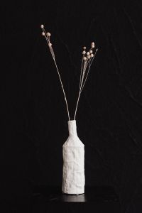 Kaboompics - Sparse Dried Flax Stems In White Bottle Against Black Backdrop