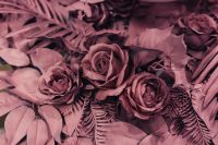 Kaboompics - Painted Fake Flowers