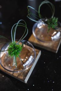 Kaboompics - Little grass bundle with a ribbon in a glass jar