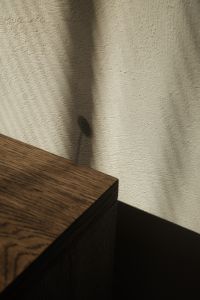 Kaboompics - Flower Shadow on a Textured Wall Beside Dark Wood Furniture
