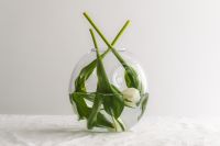 Kaboompics - Green Leaves and White Flower Bud in a Glass Vase