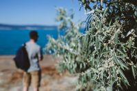 Kaboompics - Coastal Shrubs Framing a Blurred Backpacker by the Sea