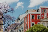 Kaboompics - Red Lisbon Building Facade and Jacaranda Tree Under Blue Sky