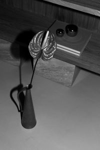 Kaboompics - Black And White Minimal Vase With Anthurium Flower