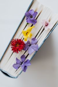 Kaboompics - Colorful Spring Flowers Along a Book's Blue Page Edges for Floral Editorial Designs
