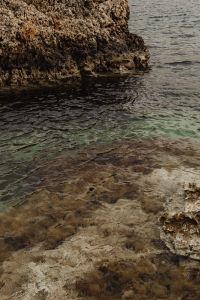 Kaboompics - Rugged Rock Ledge Meeting Rippling Seawater