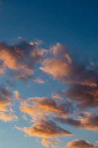 Kaboompics - Orange Clouds Framed by a Deep Blue Dusk Sky