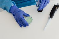 Kaboompics - Overhead View of Pipette and Green Culture Dish
