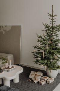 Kaboompics - Minimal Living Room with Christmas Tree and Wrapped Gifts