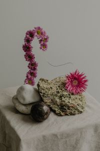 Kaboompics - Pink Floral Loop with Single Bloom and Natural Textures