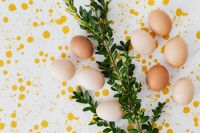 Kaboompics - Brown and White Easter Eggs with Branch on Speckled Background