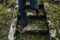 Kaboompics - Moss covered stairs